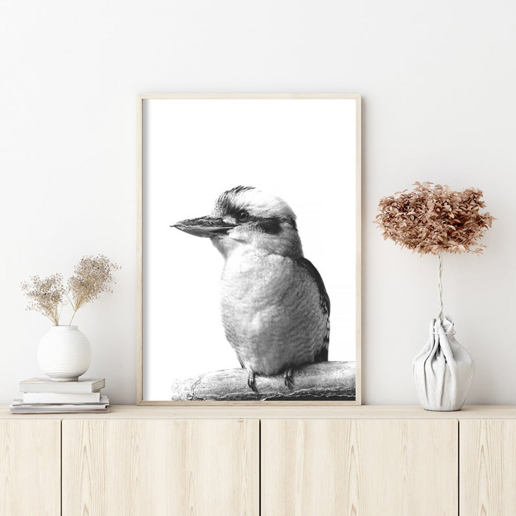 Kookaburra Wall Art – 80cm x 120cm Black Frame Canvas